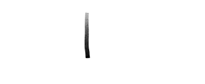 BEAR 1